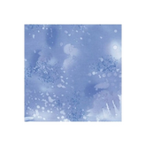 Nordid Ice Fossil Fern